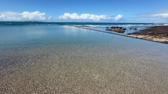 shelly beach sea pool Cronulla