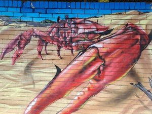 Cronulla pool wall art