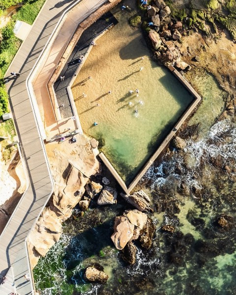 Terrigal ocean pool fishing