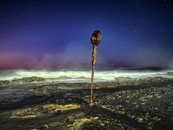 the canoe pool newcastle