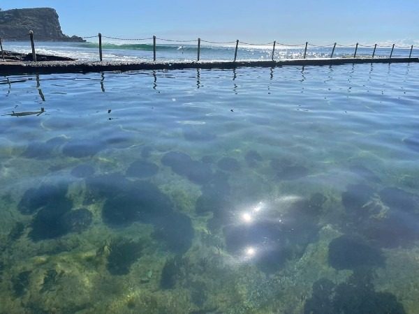 Instagram post from oceanrockpoolconsortium. This post is in position 9.