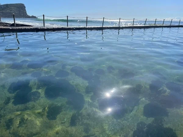 Instagram post from oceanrockpoolconsortium. This post is in position 9.
