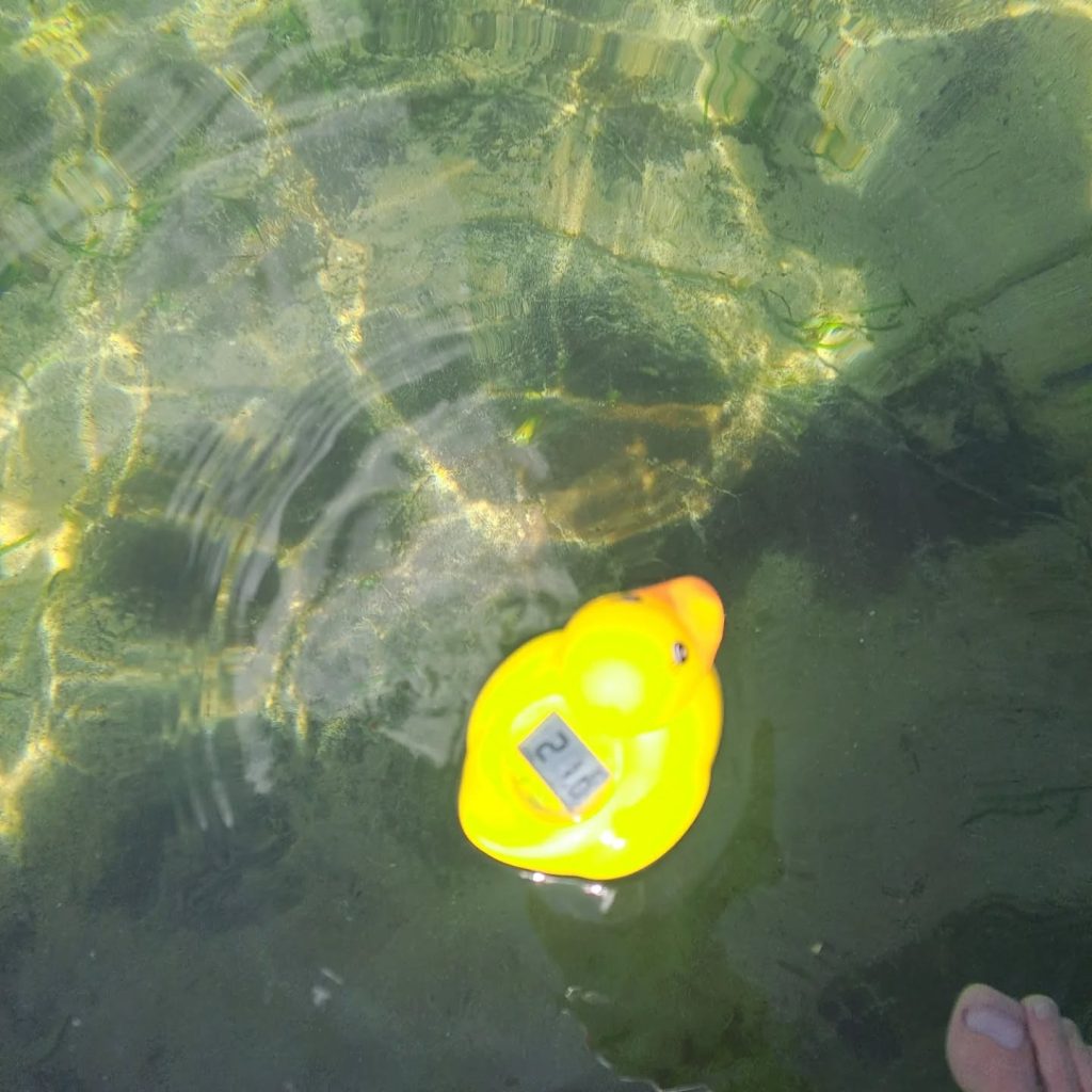 Instagram post from oceanrockpoolconsortium. This post is in position 3.