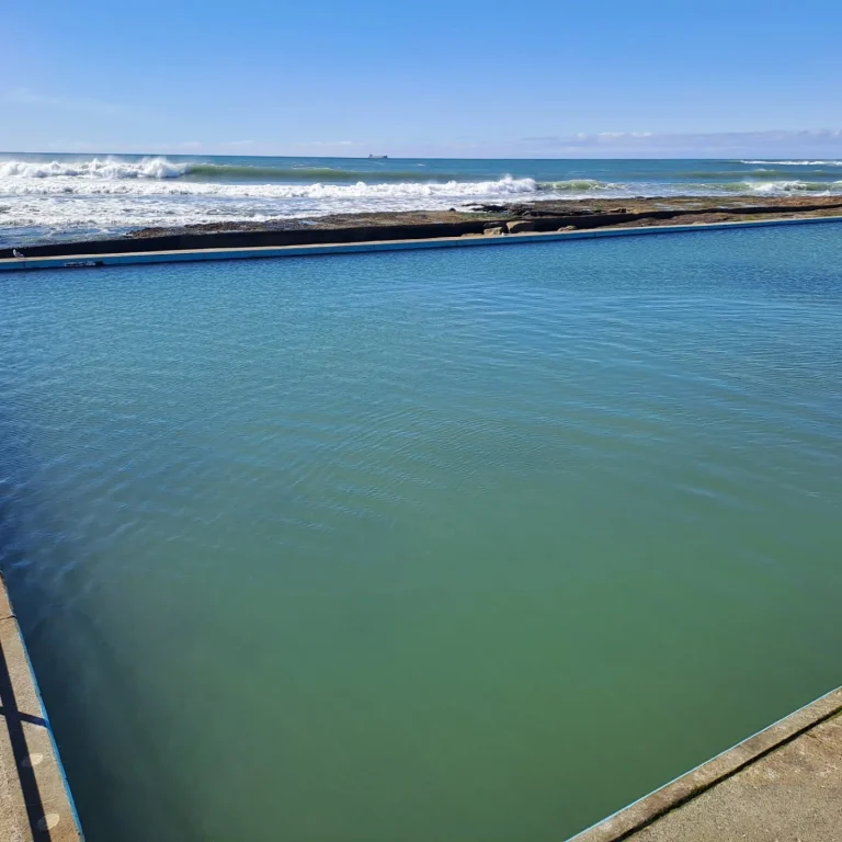 Instagram post from oceanrockpoolconsortium. This post is in position 1.