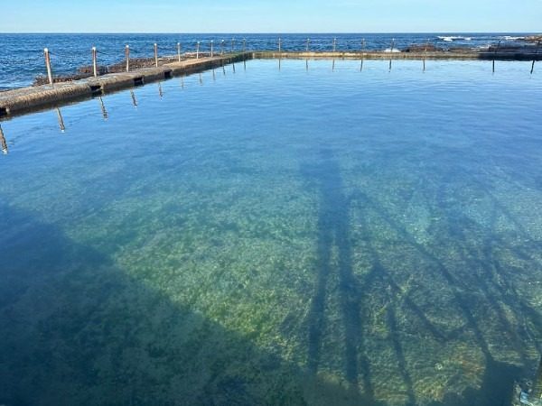 Instagram post from oceanrockpoolconsortium. This post is in position 4.