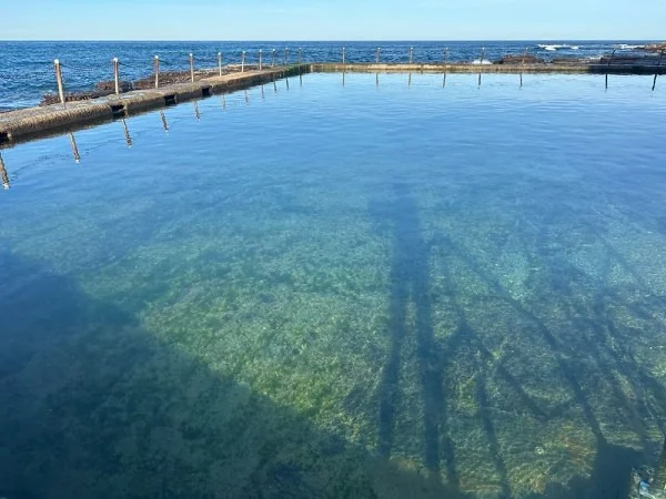 Instagram post from oceanrockpoolconsortium. This post is in position 4.