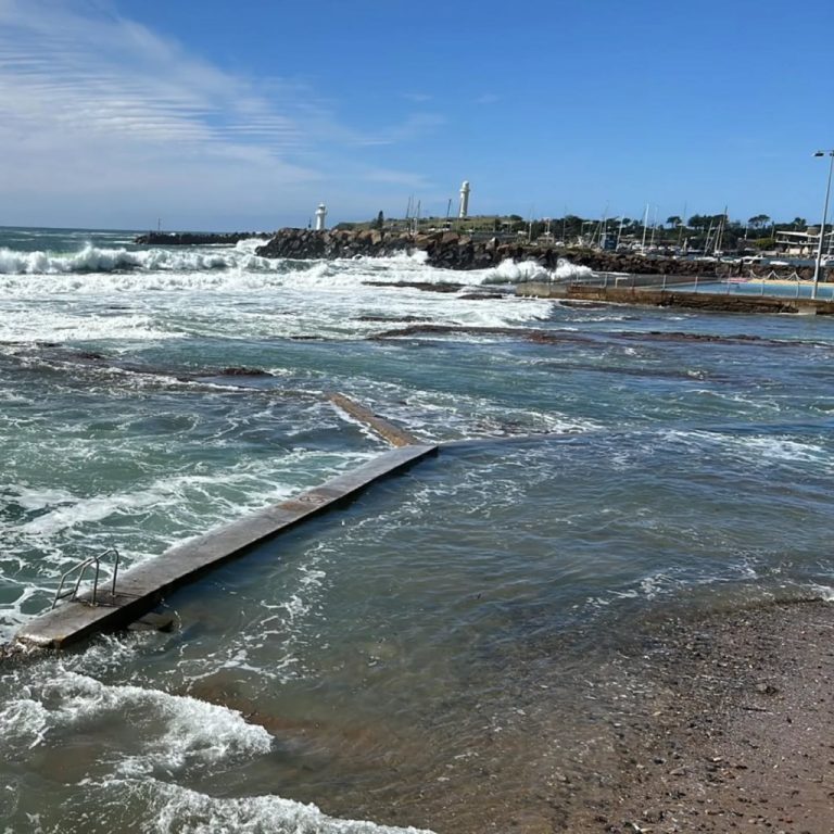 Instagram post from oceanrockpoolconsortium. This post is in position 20.